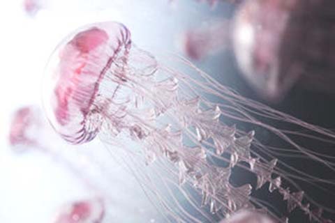 http://guangzhou.vdtfzz.com/post/208.html|广州人工试管
