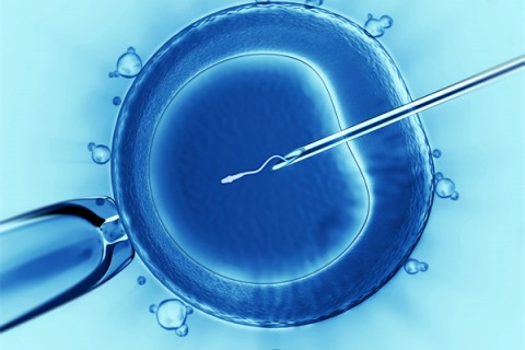 http://guangzhou.vdtfzz.com/post/198.html|广州代生助孕