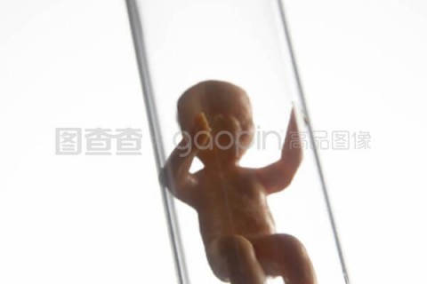 http://guangzhou.vdtfzz.com/post/197.html|广州试管助孕