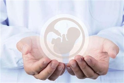 http://guangzhou.vdtfzz.com/post/214.html|广州人工试管